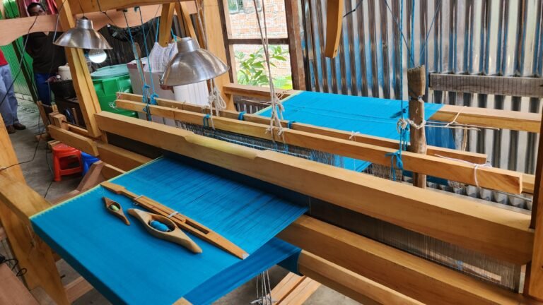 Handloom, Textiles, Manipur